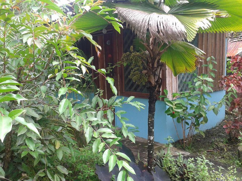 Hotel Puerto Viejo Puerto Viejo de Talamanca Exterior photo